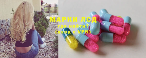 прущие грибы Алзамай