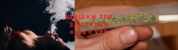 прущие грибы Алзамай