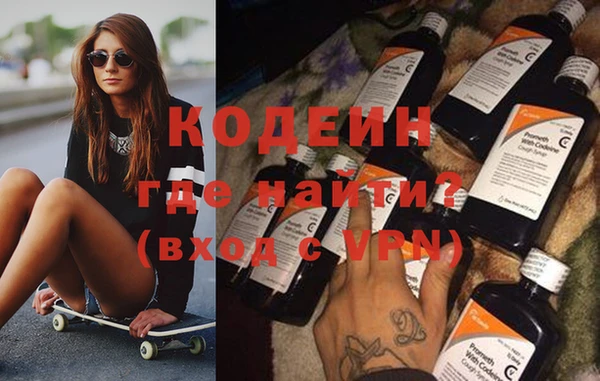 прущие грибы Алзамай