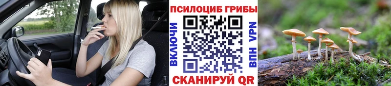 MEGA маркетплейс  Усолье-Сибирское  Псилоцибиновые грибы Psilocybine cubensis 